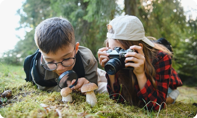 Kinderen bestuderen paddenstoelen in het bos met een vergrootglas en een fototoestel